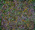 Fragmented Trajectories